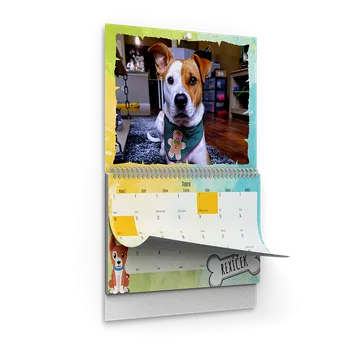 Fotokalendář Závěsný plánovací fotokalendář A3 motiv pejska