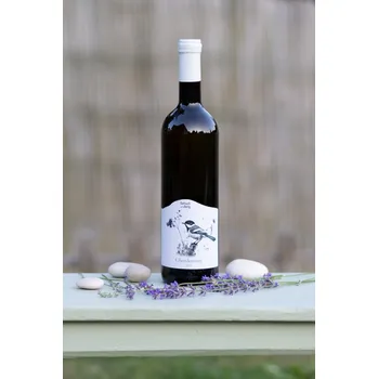 Chardonnay 2023, české zemské víno, Vinařství Geltschberg, polosuché