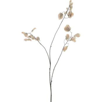 umělá květina umělá větev, Silver Dollar spray Rune hnědý V 95 cm