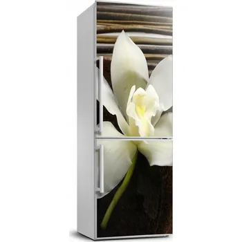 Fototapeta Samolepící dýha Tapeta na ledničku Orchidej 70x190