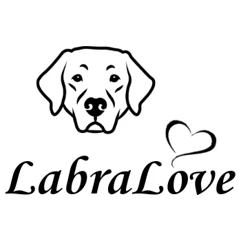 Nášivka Nažehlovací nápis pes - Love Vzor: 1, Potisk: černá