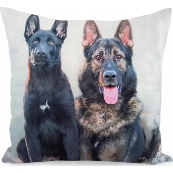 Polštář DEKORAČNÍ POVLEČENÍ NA POLŠTÁŘEK 40x40 VELUROVÉ PŘÍJEMNÉ