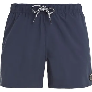 Pánské kraťasy Pánské plážové šortky Protest PRTYESSINE Protest modrá 3041543