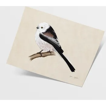 Obraz Sýkora babka autorská ilustrace 30x40 - Tukan Media Agata Hajdecka