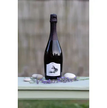 SEKT Ryzlink rýnský 2023, šumivé víno, Vinařství Geltschberg, brut