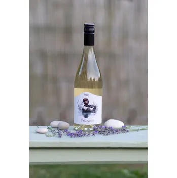 Frizzante 2023, české zemské víno - perlivé, Vinařství Geltschberg, suché