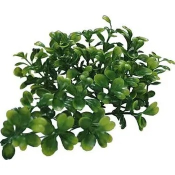 Teraristika Lucky Reptile Bacopa cca 40 cm