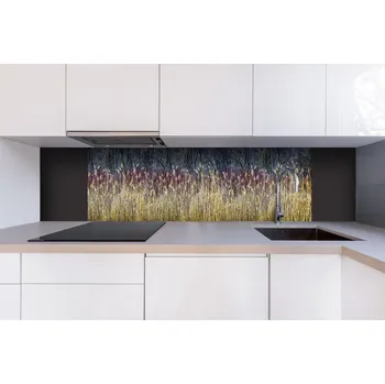 Obklad DIMEX | Dibond za kuchyňskou linku DBW-18060-170 | 180 x 60 cm | Zimní rákos + Dibond deska za kuchyňskou linku DIMEX v rozměru 180 x 60 cm, motiv Zimní rákos