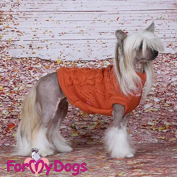Obleček pro psa FOR MY DOGS svetr PIGTAIL ORANGE, oranžový Velikost: 10/XS–12/S