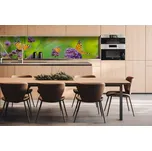 DIMEX | Dibond za kuchyňskou linku DBW-26060-113 | 260 x 60 cm | Motýli + Dibond deska za kuchyňskou linku DIMEX v rozměru 260 x 60 cm, motiv Motýli