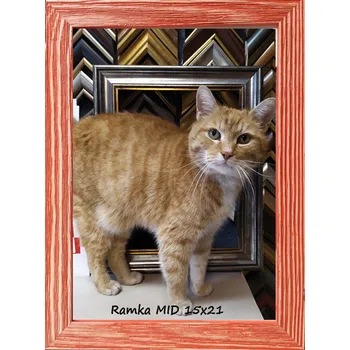 Obraz Klasický rámeček na fotografie na zeď i na postavení 15x21 dřevo