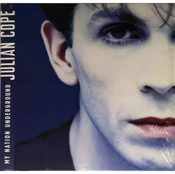 Zahraniční hudba LP Julian Cope: My Nation Underground 2024
