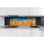 DIMEX | Dibond za kuchyňskou linku DBW-18060-011 | 180 x 60 cm | Pole pšenice + Dibond deska za kuchyňskou linku DIMEX v rozměru 180 x 60 cm, motiv Pole pšenice