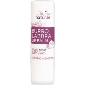 Péče o rty Officina Naturae Balzám na rty Lesní plody BIO 5 g - Regenerační a hydratační