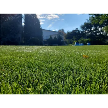 Travní směs Oseva Uni Tmavá rekreační směs Hmotnost: 2 kg