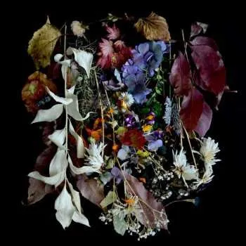 Zahraniční hudba LP Paws: Your Church On My Bonfire CLR | LTD 2019 Clear With Pink Splatter Vinyl