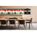 DIMEX | Dibond za kuchyňskou linku DBW-26060-058 | 260 x 60 cm | Tulipány + Dibond deska za kuchyňskou linku DIMEX v rozměru 260 x 60 cm, motiv Tulipány