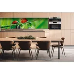 DIMEX | Dibond za kuchyňskou linku DBW-26060-015 | 260 x 60 cm | Beruška + Dibond deska za kuchyňskou linku DIMEX v rozměru 260 x 60 cm, motiv Beruška