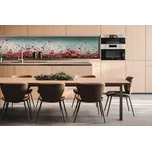 DIMEX | Dibond za kuchyňskou linku DBW-26060-126 | 260 x 60 cm | Jarní pole + Dibond deska za kuchyňskou linku DIMEX v rozměru 260 x 60 cm, motiv Jarní pole