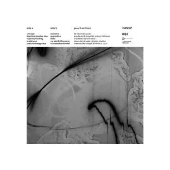 Hudba LP Neumatic Parlo: Play It As It Lays 2024