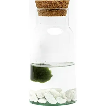 Gardners Skleněná dóza Syringa 18x9,5 cm a 1 řasokoule