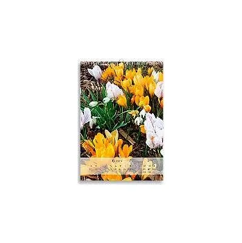 Kalendář K031, Design kalendář (0A4_13)