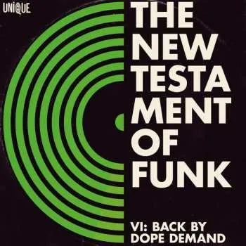 Zahraniční hudba CD Various: The New Testament Of Funk, Vol. 6 2017