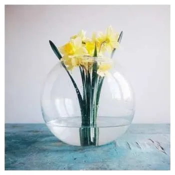 Zahraniční hudba LP Neøv: Soft Atlas 2024