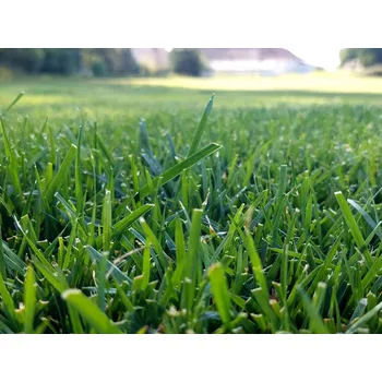 Zahrada Oseva Uni Směs pro renovaci rekreačních trávníků Hmotnost: 10 kg