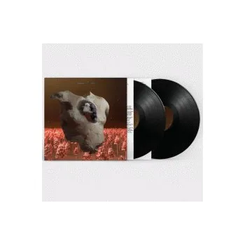 Zahraniční hudba Torso / Vinyl / 2LP - Soap & Skin [2 LP]