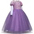 Karnevalový kostým Dětský kostým Locika šaty sametové/tylové fialové