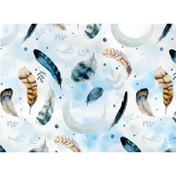 Papír Balící papír dárkový Lux, 100x70cm, pírka