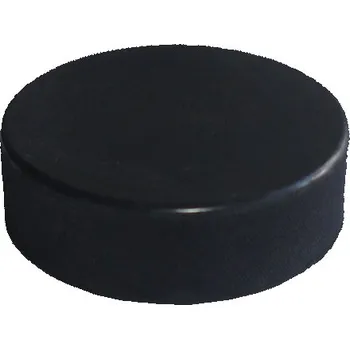 Hokejová tréninková pomůcka LION Hokejový puk JUNIOR