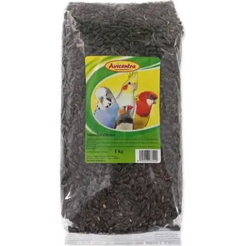 Avicentra Slunečnice černá