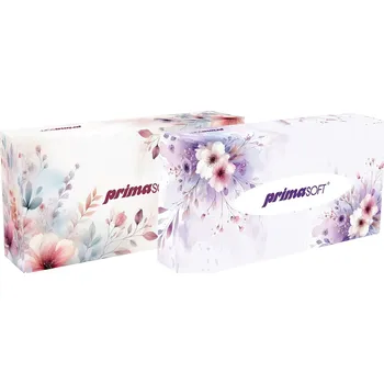 Papírový kapesník Kapesníky 100 ks, 2 vrstvé, krabička