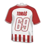 Bauer Decor Akrylátová vánoční ozdoba - fotbalový dres s vlastním textem Barva: Modrá, barva pruhy: PRUHOVANÉ - BÍLOZELENÉ