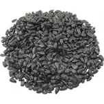 Avicentra Slunečnice černá