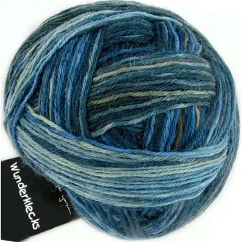 Příze Schoppel Wolle Wunderklecks 2193 November Rain (Ponožková příze Wunderklecks 2193 November Rain)