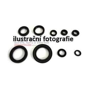 Motor pro motocykl SImerinky motoru sada (10ks)