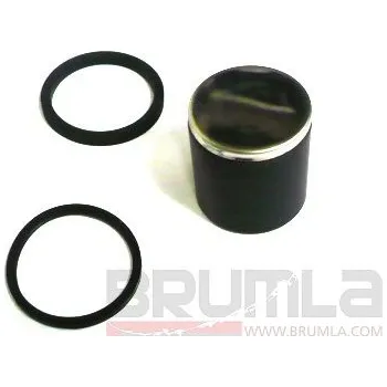 Brzda pro motocykl Nissin těsnění a pístek zadního brzdiče 30,17