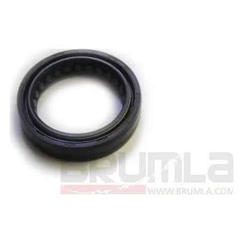 Gufero NOK 35x48x11 Varianta: 1ks