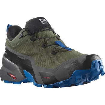 Pánská treková obuv Salomon CROSS HIKE GTX M Olive Night/Magnet/Skydiver 40