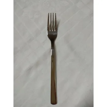 Příbor Příbory vidlička jídelní 1ks GAMMA Berndorf Sandrik příbory nerez ocel