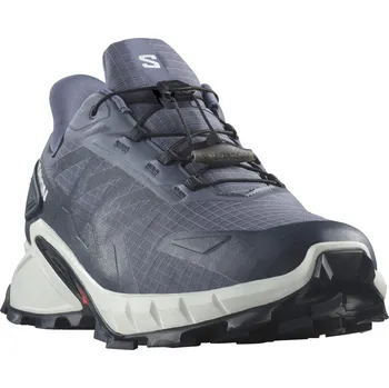 Pánská běžecká obuv Salomon Supercross 4 GTX M L47462300 - grisaille/white/carbon 48
