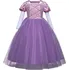 Karnevalový kostým Dětský kostým Locika šaty sametové/tylové fialové