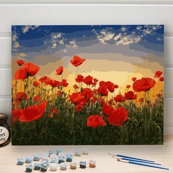 Malování podle čísel - vlčí mák