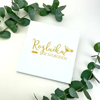 Party dekorace Rozlučková kniha (album) 20x20 cm - bílá