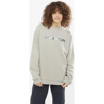 Pánská mikina Salomon Outlife Logo Winter Crew U LC1970500 - wrought iron/sedona sage XS