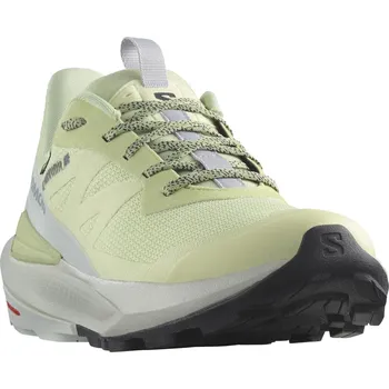 Dámská treková obuv Salomon Elixir Activ GTX W L47456300 - celadon green/glacier gray phantom 40