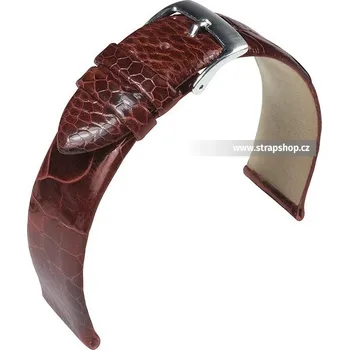 Řemínek na hodinky Řemínek k hodinkám BARINGTON Ostrich leg zlatohnědá (23) 18 mm pánský